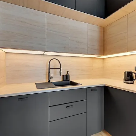 Plac Unii By Lion Apartment