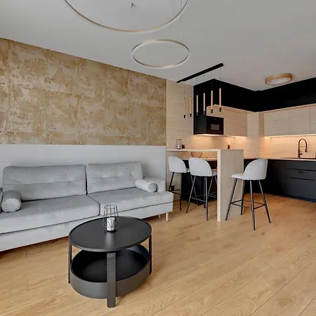 Plac Unii By Lion Apartment *